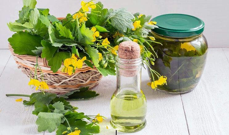 tincture of celandine from nail fungus