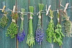 herbs to treat toenail fungus